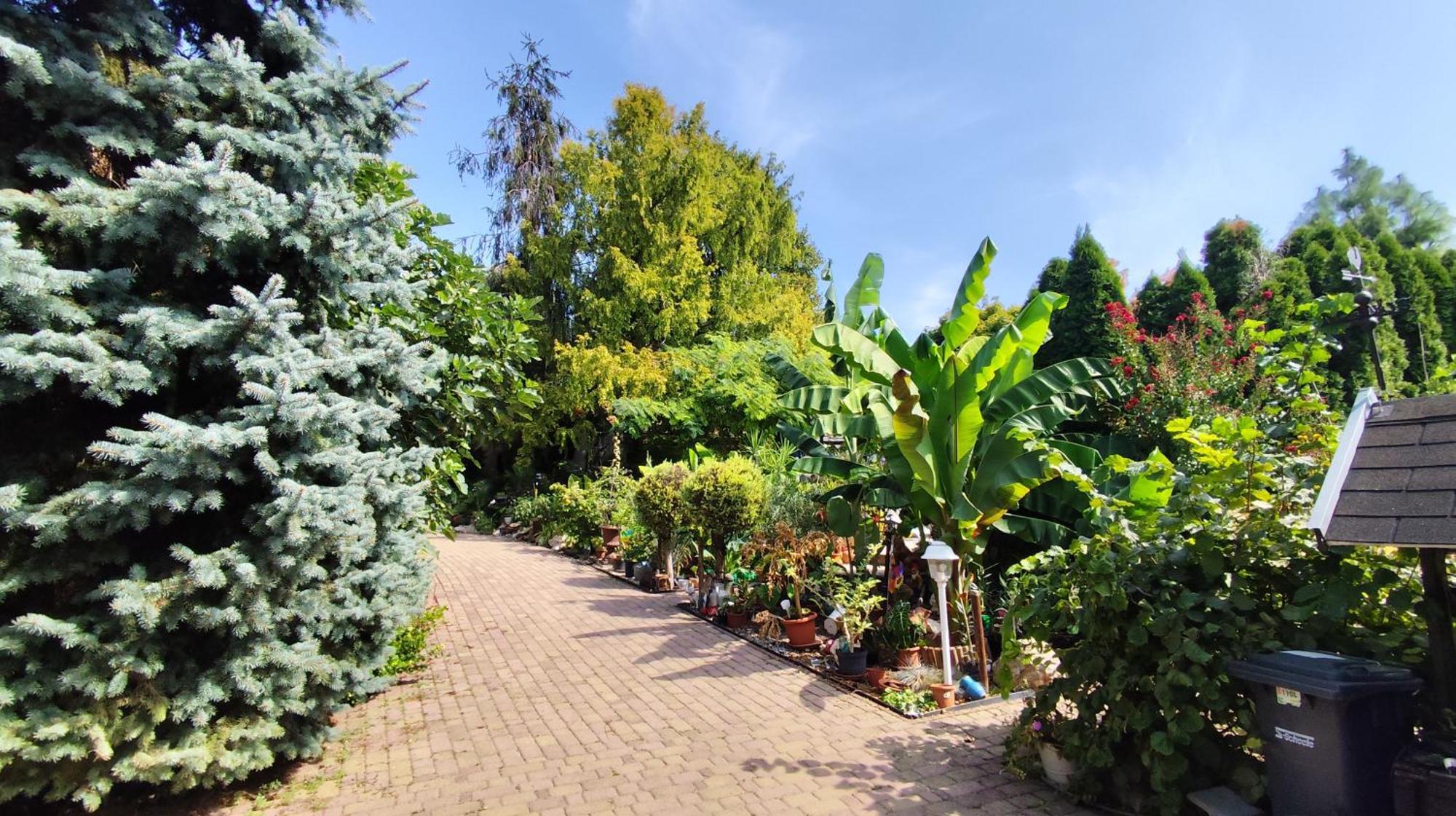 Apartament Katica Vendeghaz Siófok Zewnętrze zdjęcie