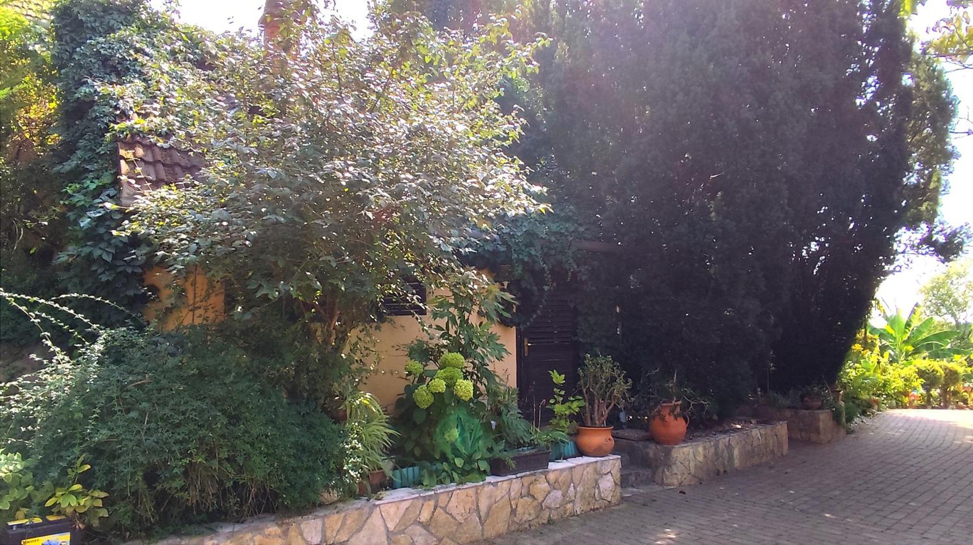 Apartament Katica Vendeghaz Siófok Zewnętrze zdjęcie